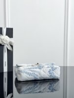 CHANEL MASTER SMALL 25m BEACH  FLAP BAG  24*15*6.5cm - Image 7