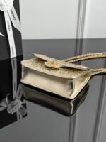 CHANEL MASTER  25s woven flap with golden 19*13*5.5cm - Image 7