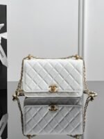 CHANEL MASTER WOC CHAIN BAG 19.2*12.3*3.5cm