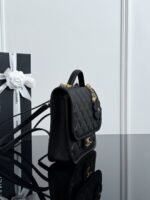 CHANEL MASTER 25B Four-Leaf Clover Black 22*19.5*7cm - Image 6