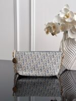 Dior Hobo Star Emblem Coconut Grass Grid Lunch Box Bag 22*14.5*10cm