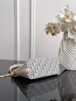 Dior Hobo Star Emblem Coconut Grass Grid Lunch Box Bag 22*14.5*10cm - Image 7