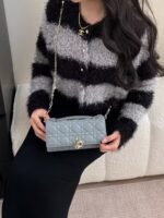 Dior Pearl Woc 21x11.5x4.5cm - Image 2