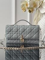 Dior Pearl Woc 21x11.5x4.5cm