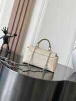 LOUIS VUITTON NANO MADELEINE  21*12*6cm - Image 3