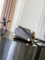 LOUIS VUITTON SPEEDY TRUNK 20  20.5*13.5*11cm - Image 6