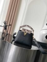 LOUIS VUITTON CAPUCINES MINI 21*14*8cm