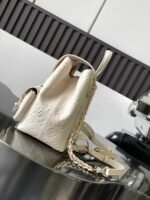 LOUIS VUITTON BACKUP 22*20*14cm - Image 2