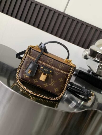 LOUIS VUITTON VANITY CHAIN POUCH 19*11.5*6.5cm