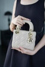 Dior Mini Lady  Bag 17*15*7cm - Image 4