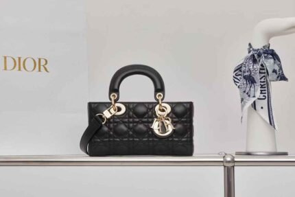 Dior Small Lady D-Joy handbag  22*11*6cm