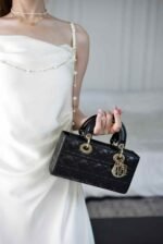 Dior Small Lady D-Joy handbag  22*11*6cm - Image 4