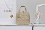 Dior Small Toujours vertical handbag 18.5*18.5*12cm