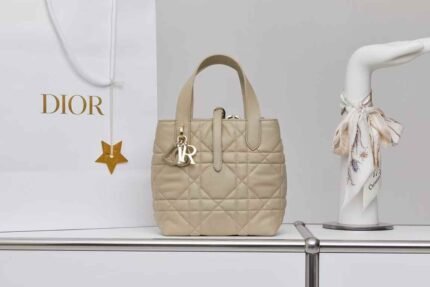 Dior Small Toujours vertical handbag 18.5*18.5*12cm