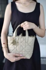 Dior Small Toujours vertical handbag 18.5*18.5*12cm - Image 4