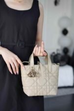 Dior Small Toujours vertical handbag 18.5*18.5*12cm - Image 2
