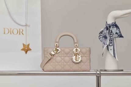 Dior Small Lady D-Joy handbag 22*11*6cm