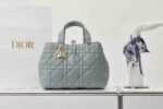 Dior Medium  Toujours handbag  28*21*19cm