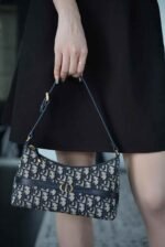 Dior 30 Montaigne Cigale Underarm Dumpling Bun 24*14*6.5cm - Image 2