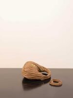 MIUMIU Wander hobo 20*17*6cm - Image 5