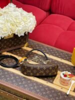 LOUIS VUITTON CATCHY PM 24*10*6cm - Image 4