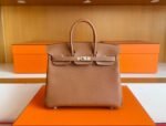 HERMÈS MASTER  Birkin 25cm