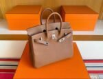 HERMÈS MASTER  Birkin 25cm - Image 3